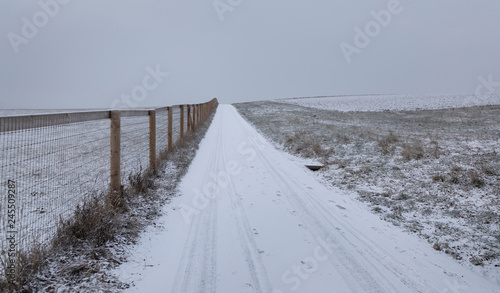 Fence. Winter. Morning. Snow. Road. Rural