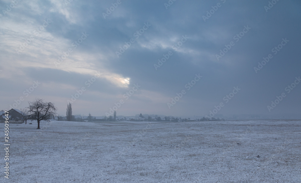 Naklejka premium Winter. Morning. Snow. Field. Cold
