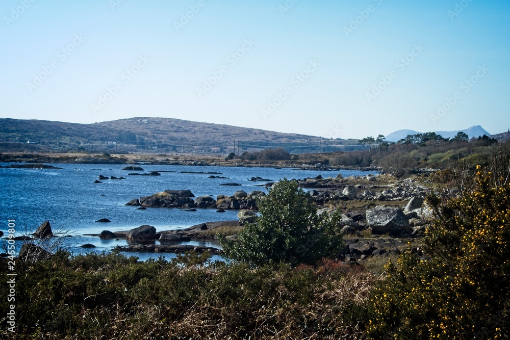 A landscape showing a body of water with many rocks in it