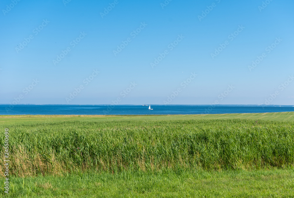 The landscape on island Ruegen, Germany The landscape on island Ruegen, Germany