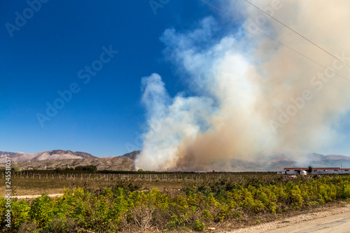 Fire in a field of albanian farm and thick clouds of smoke in the sky. Fire accident. Albania.