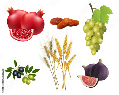 Seven species of Israel 