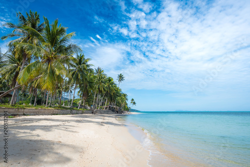 Tropical beach with coconut palm trees.