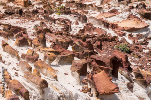 Detailaufnahme - Rotes Gestein an der Küste des Bouddi Nationalpark