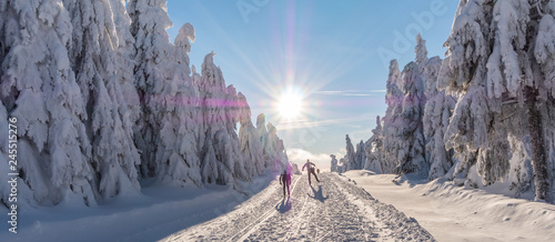 Wintersport Loipe im Erzgebirge