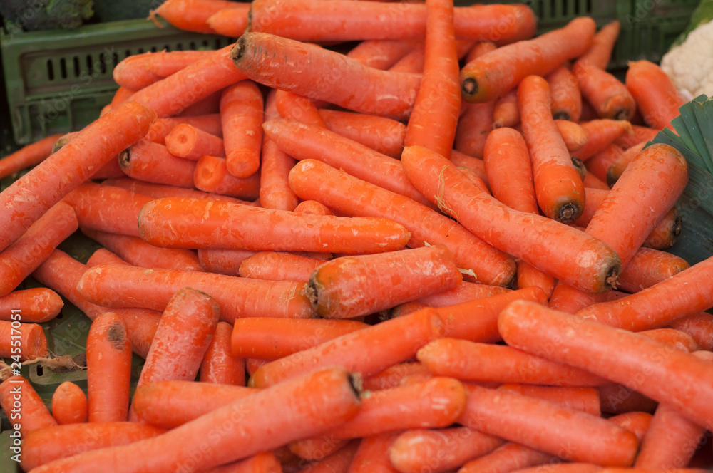 closeup of carrots at the market closeup of carrots at the market