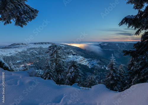 Blaue Stunde im Schwarzwald