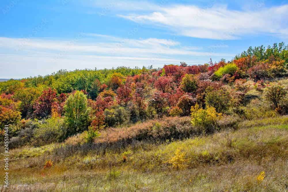 Autumn landscape with bright leaves of trees near Russian-Orlovka in Donbass 11 Autumn landscape with bright leaves of trees near Russian-Orlovka in Donbass 11