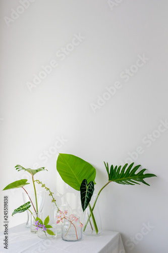 Collection of various kinds of plants in glass vases on white table sheet on ...