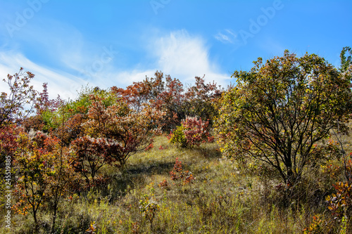 Autumn landscapes of the valley near the Russian-Orlovka in the Donbass 5