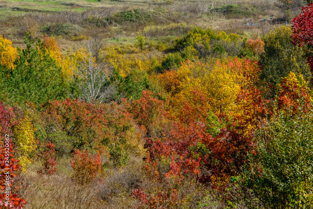 Autumn landscape with bright leaves of trees near Russian-Orlovka in Donbass 3 Autumn landscape with bright leaves of trees near Russian-Orlovka in Donbass 3
