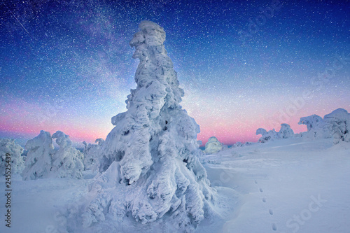 zauberhafter Sternenhimmel im Winter