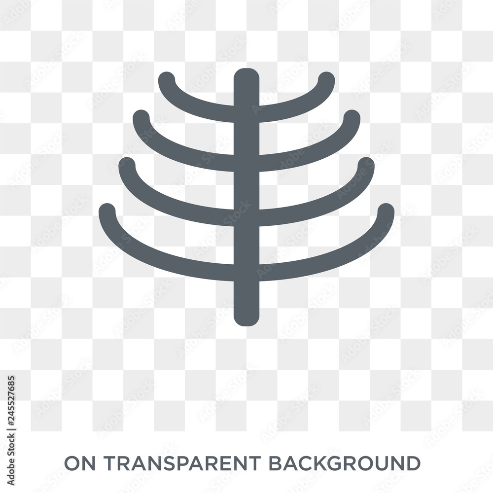 Human Ribs icon. Trendy flat vector Human Ribs icon on transparent background from Human Body Parts collection. High quality filled Human Ribs symbol use for web and mobile Human Ribs icon. Trendy flat vector Human Ribs icon on transparent background from Human Body Parts collection. High quality filled Human Ribs symbol use for web and mobile