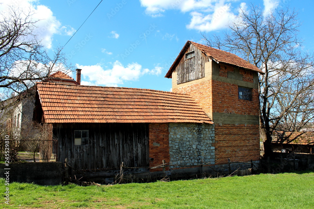 Obraz premium Improvised backyard structure made of red bricks, stone and wooden boards used for storage next to tall tree without any leaves surrounded with grass and houses with cloudy blue sky in background