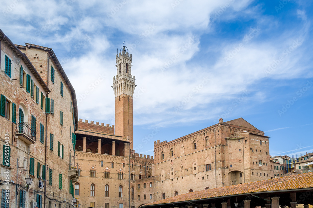 Siena town tower and historic buildings