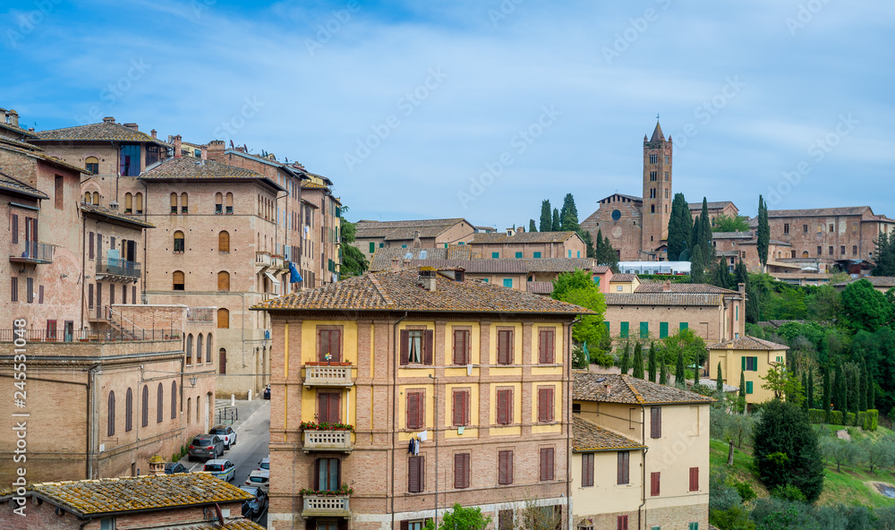 Siena cathedral and tower historic buildings