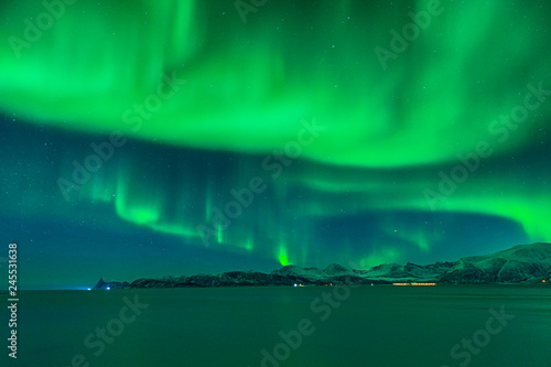 The sky of Norway wrapped by a cloud of aurora borealis