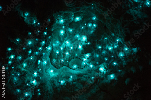 Fototapet glowworms in waitomo