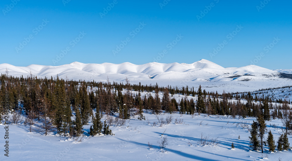 Snowy mountain landscape, Canada.