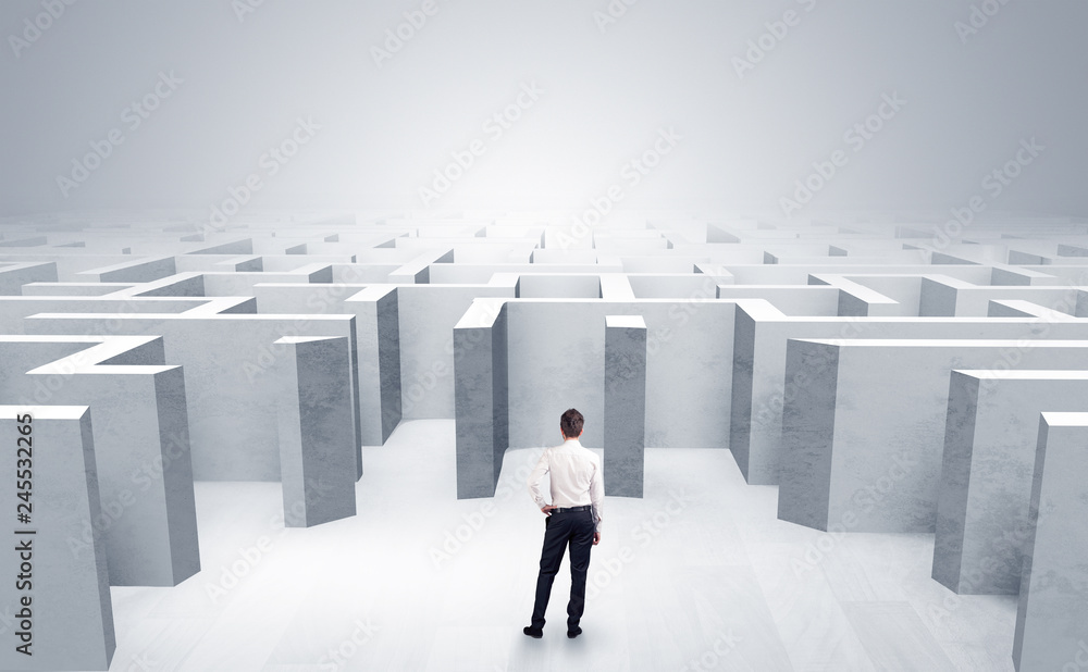 Obraz premium Businessman choosing between entrances in a middle of a maze 