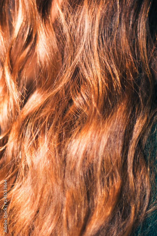 Naklejka premium Bronze Curly Hair