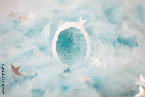 White eggshell in blue feathers with silver stars