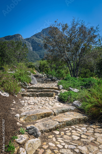 Walking trail in Kirstenbosch botanical garden  Cape Town