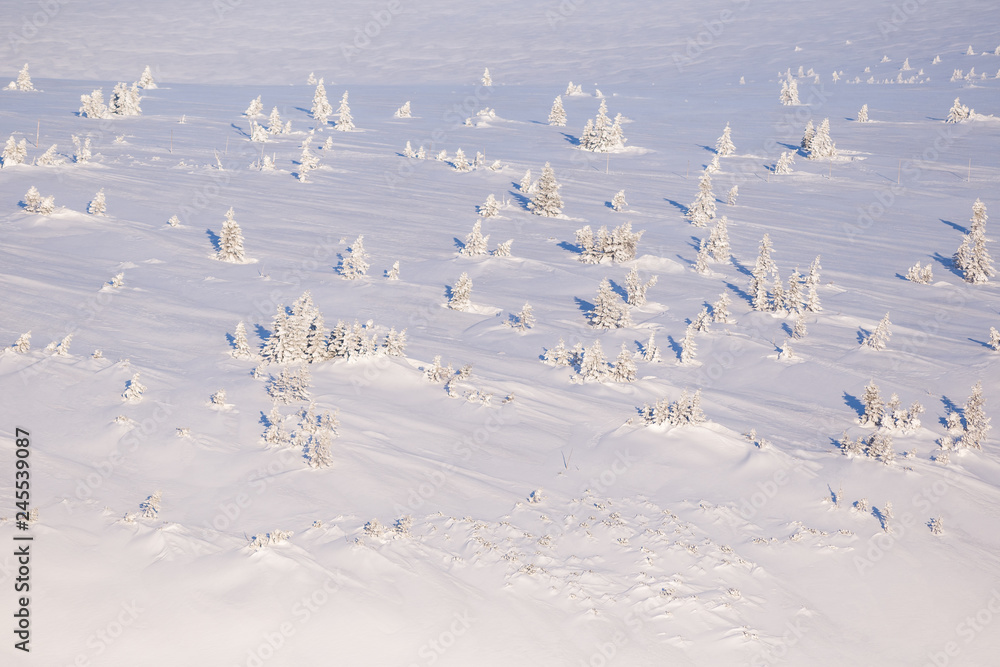Morning mood short after sunrise in Krkonose in winter (Poland, Czech Republic) Morning mood short after sunrise in Krkonose in winter (Poland, Czech Republic)