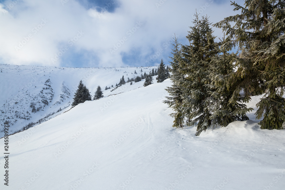 Obraz premium Beautiful winter day in Krkonose (Poland, Czech Republic)