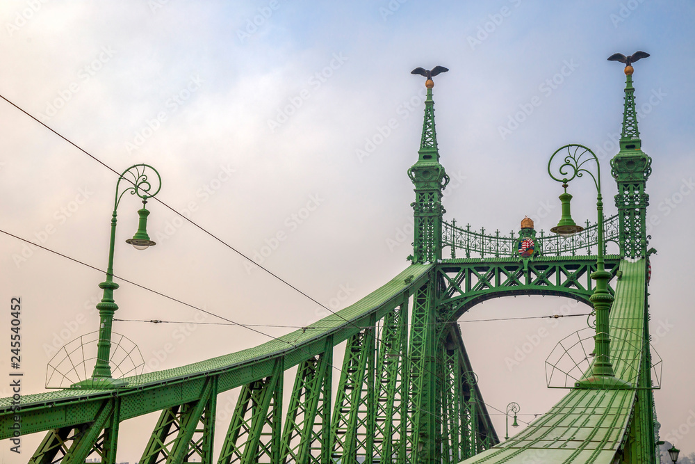 Fototapeta premium Detail view of Liberty Bridge in Budapest, Hungary