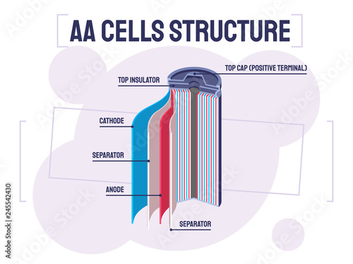Illustration showing the structure of AA batteries
