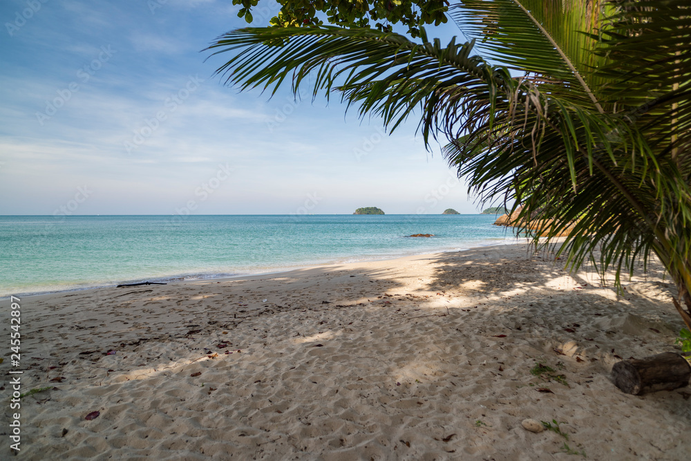 Paradise Island Koh Chang, Lonely Beach, palm trees on the shore on a clear sunny day. Paradise Island Koh Chang, Lonely Beach, palm trees on the shore on a clear sunny day.
