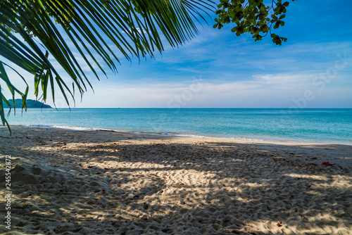 Fototapeta Naklejka Na Ścianę i Meble -  Paradise Island Koh Chang, Lonely Beach, palm trees on the shore on a clear sunny day.