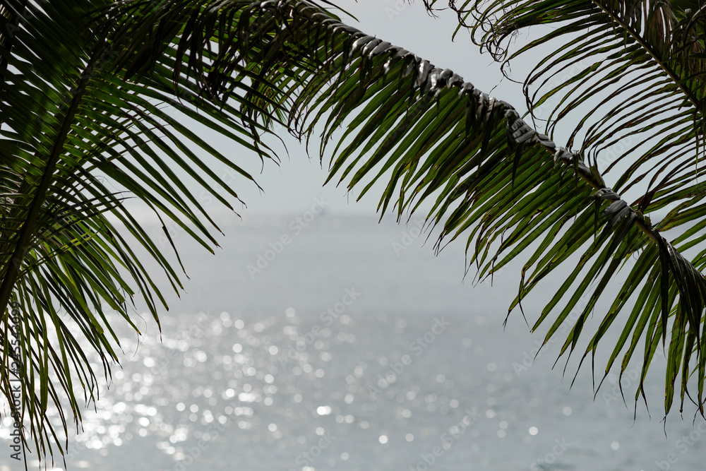 Fototapeta premium Green palm leaves on a background of the Gulf of Thailand, Koh Chang island, beach Lonely Beach, Thailand.