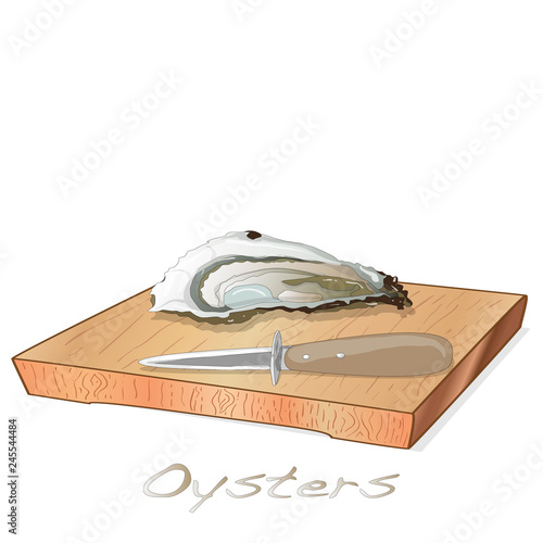 Fresh opened oyster vectorv images set on plate / dish isolated on white background.