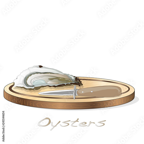 Fresh opened oyster vectorv images set on plate / dish isolated on white background.