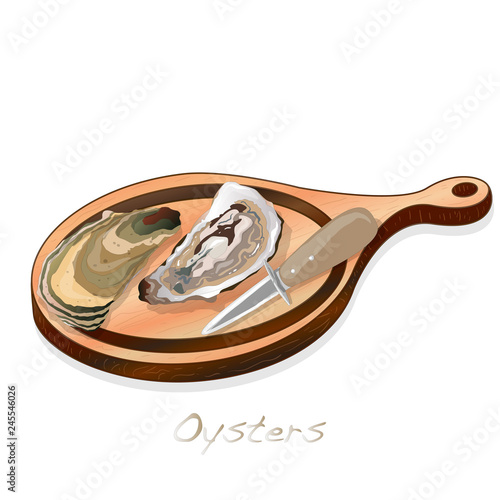 Fresh opened oyster vectorv images set on plate / dish isolated on white background.