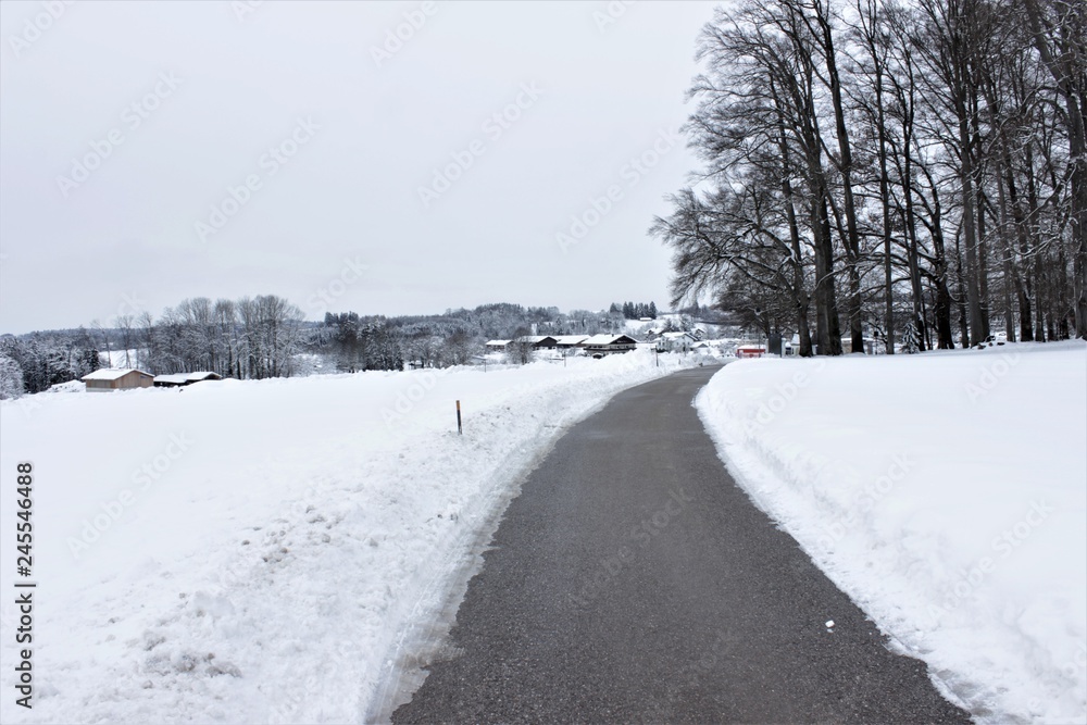 Fototapeta premium Road through a wintry scenery 