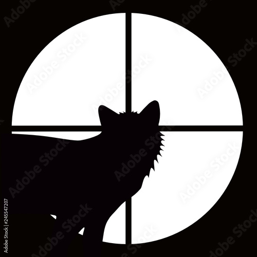 Fox at gunpoint