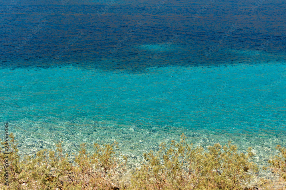 Dark blue and turquoise sea water in the background with pine tree branches in the foreground. Sea blue palette. Nature background. Dark blue and turquoise sea water in the background with pine tree branches in the foreground. Sea blue palette. Nature background.