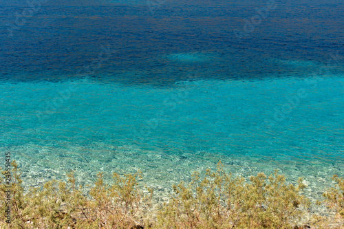 Wallpaper Mural Dark blue and turquoise sea water in the background with pine tree branches in the foreground. Sea blue palette. Nature background. Torontodigital.ca