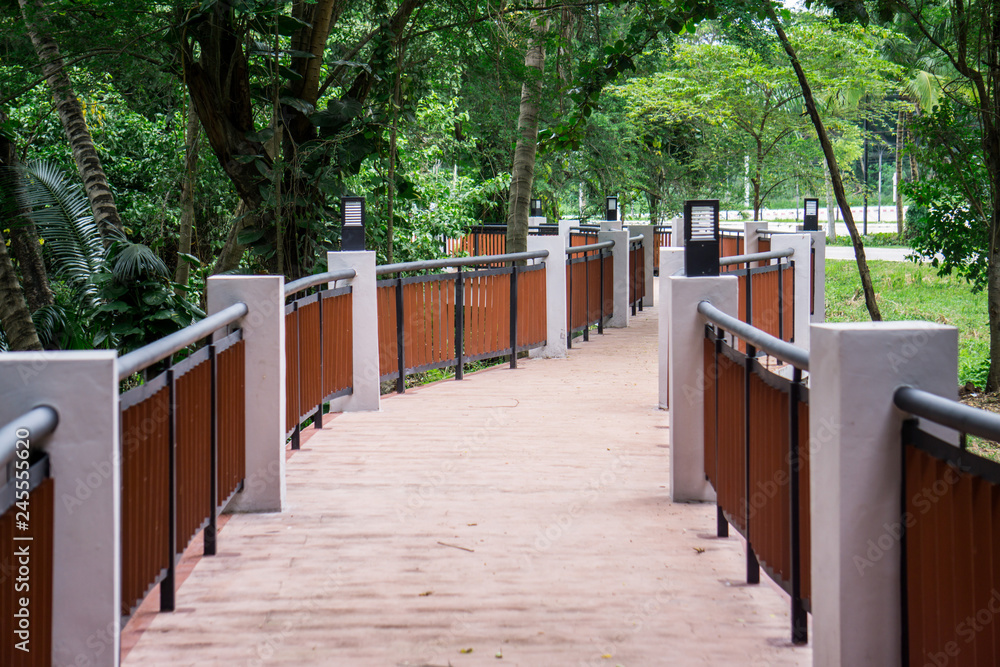 Bridge walkway  in the jungle.Path on the forest.