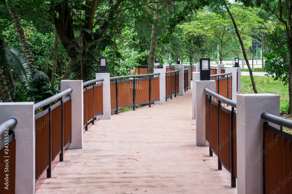 Bridge walkway in the jungle.Path on the forest. Bridge walkway in the jungle.Path on the forest.