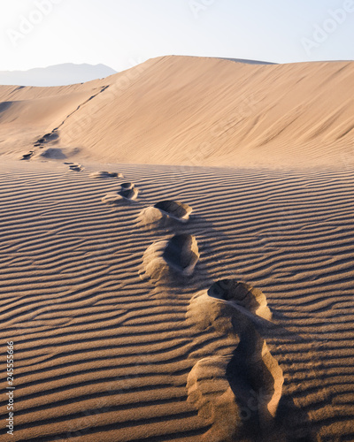 Footprints on sand in the desert stretching into the distance. Hot landscape with sand dunes against the clear sky