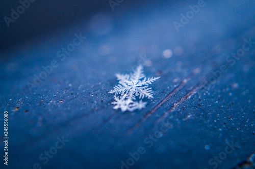 close up of a snow flake