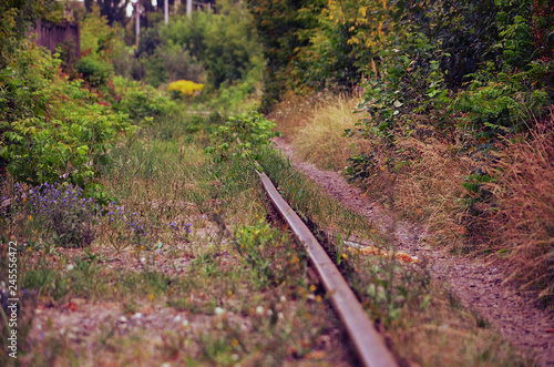 railway in the forest