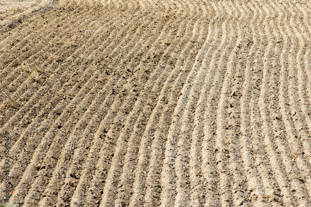 tilled field for text tilled field for text