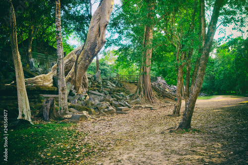 Beng Mealea or Bung Mealea temple. Siem Reap. Cambodia