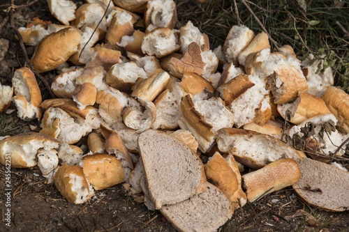 Waste of bread in nature . 