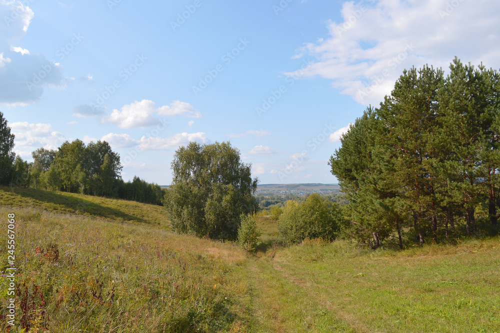 Summer landscape